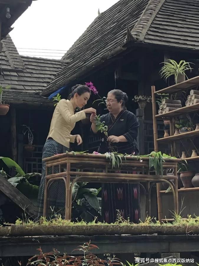 虫虫助手下载